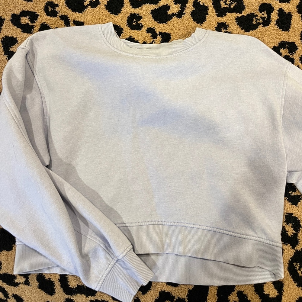 Zara Cropped Sweatshirt